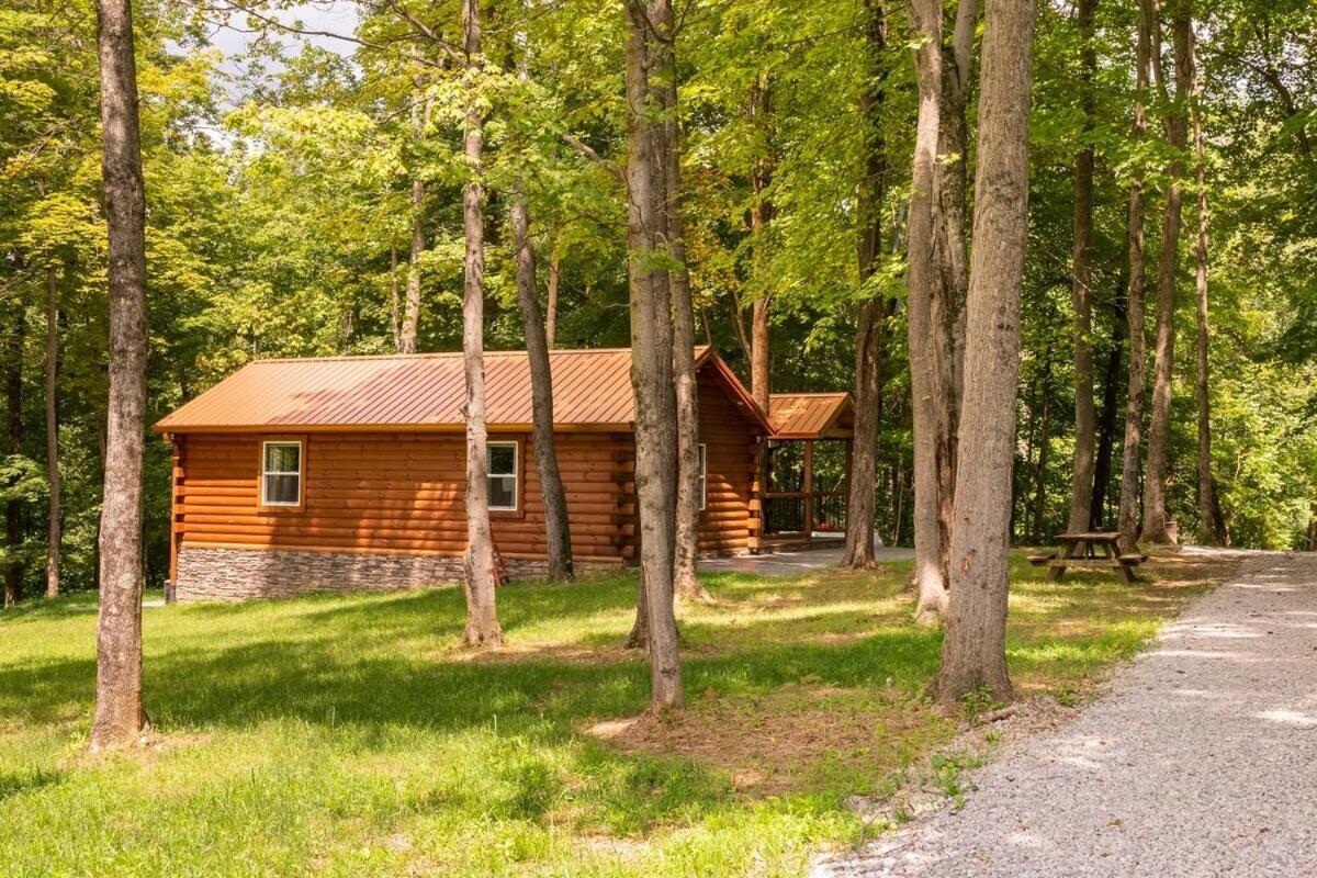 Secluded Wooded Cabin Near The Hocking Hills New Straitsville Εξωτερικό φωτογραφία